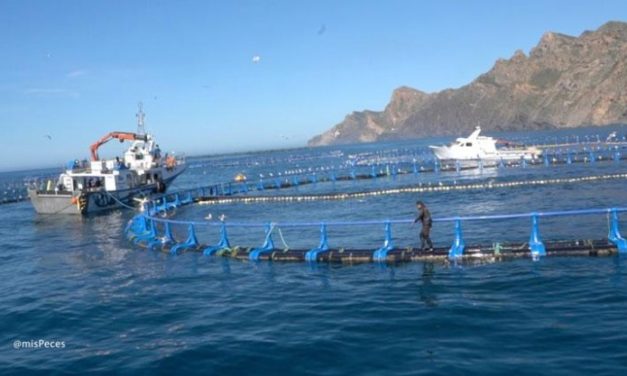 Informe negativo para la instalación del polígono de cultivos marinos frente a Puntas de Calnegre