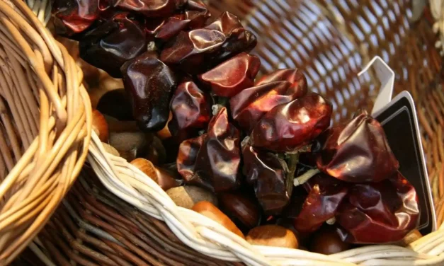 El ‘superalimento’ oculto de la huerta de Murcia: tiene el doble de vitamina C que la naranja