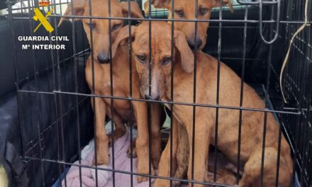 Guardia Civil investiga a un vecino de Águilas por abandonar a sus perros