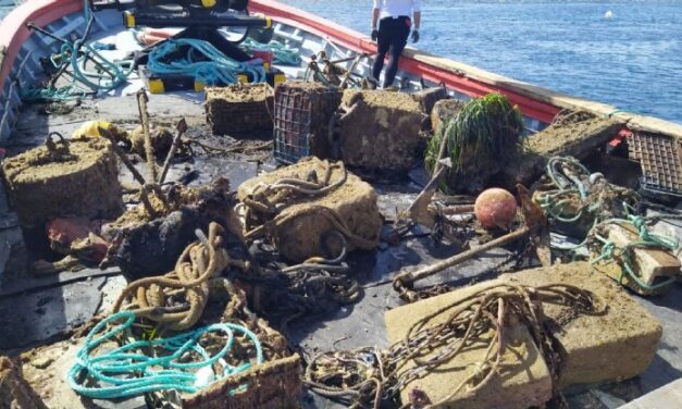Costas retira un fondeadero ilegal situado en una zona de importante valor ambiental en La Azohía