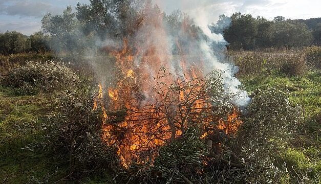 Suspenden temporalmente las autorizaciones de quemas agrícolas en el área de influencia del territorio forestal