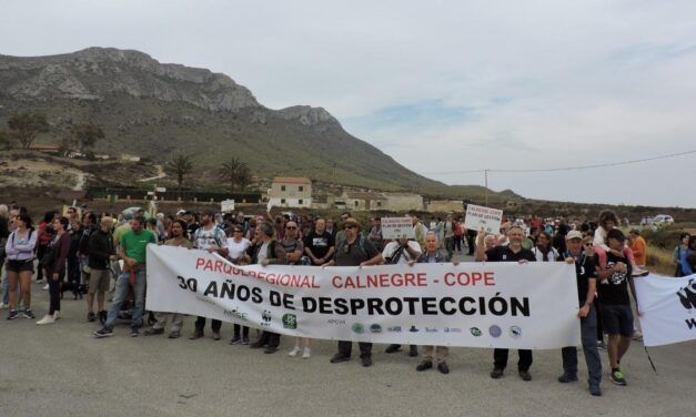 Medio millar de personas se manifiestan por Marina de Cope