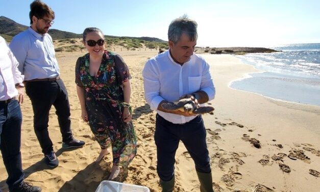 Liberada una tortuga boba que fue rescatada en Mazarrón