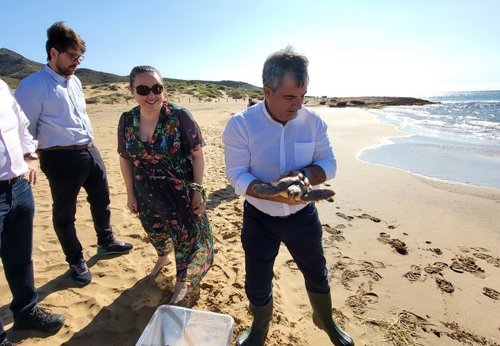 Liberada una tortuga boba que fue rescatada en Mazarrón