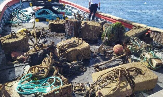 Litoral ayudará a la recuperación de los fondeos en La Azohía 