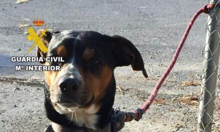 Mata a tiros al perro de un vecino con el que discutió en Mazarrón