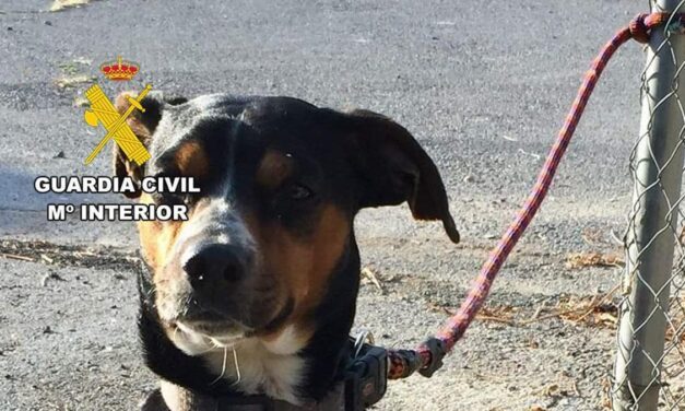 Mata a tiros al perro de un vecino con el que discutió en Mazarrón