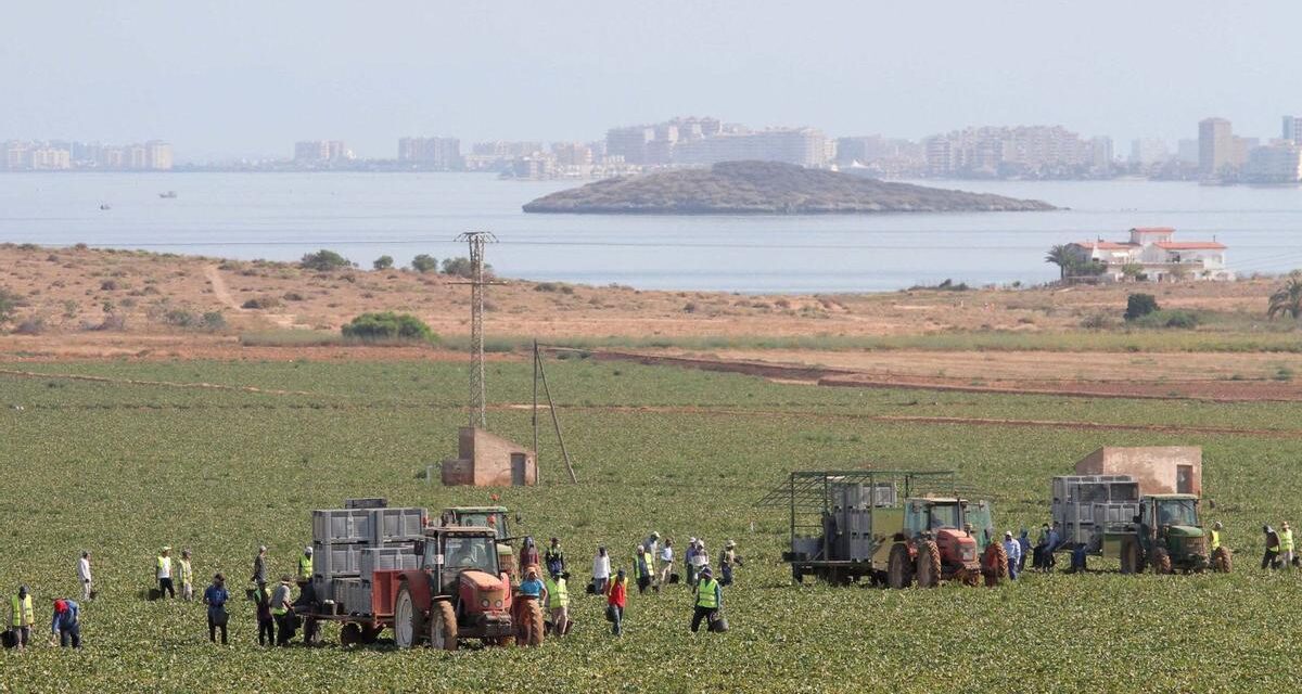 Los trabajadores marroquíes piden «condiciones dignas» tras la muerte del jornalero de Mazarrón