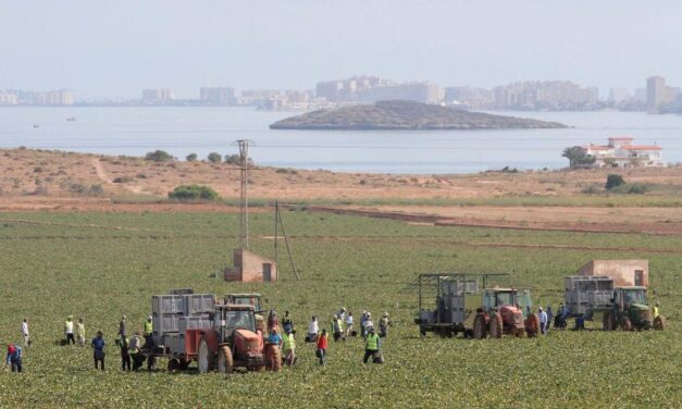 Los trabajadores marroquíes piden «condiciones dignas» tras la muerte del jornalero de Mazarrón