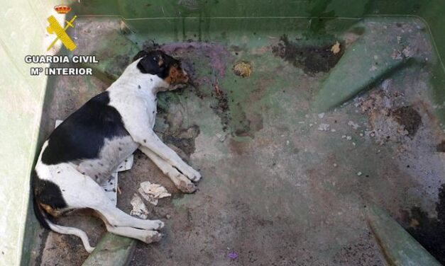 Mazarrón por la muerte de tres cachorros de perro