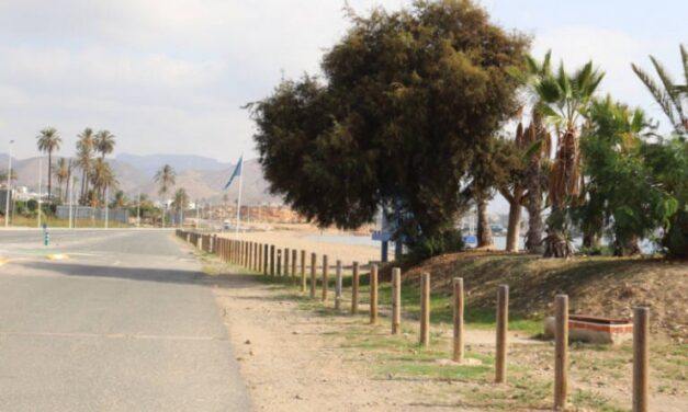 La Avenida del Alamillo permanecerá cortada al tráfico durante un mes