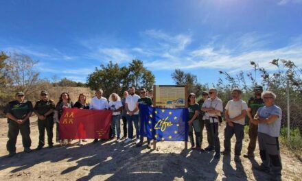La laguna de Mazarrón da la bienvenida a 20 ejemplares del pato más amenazado de Europa