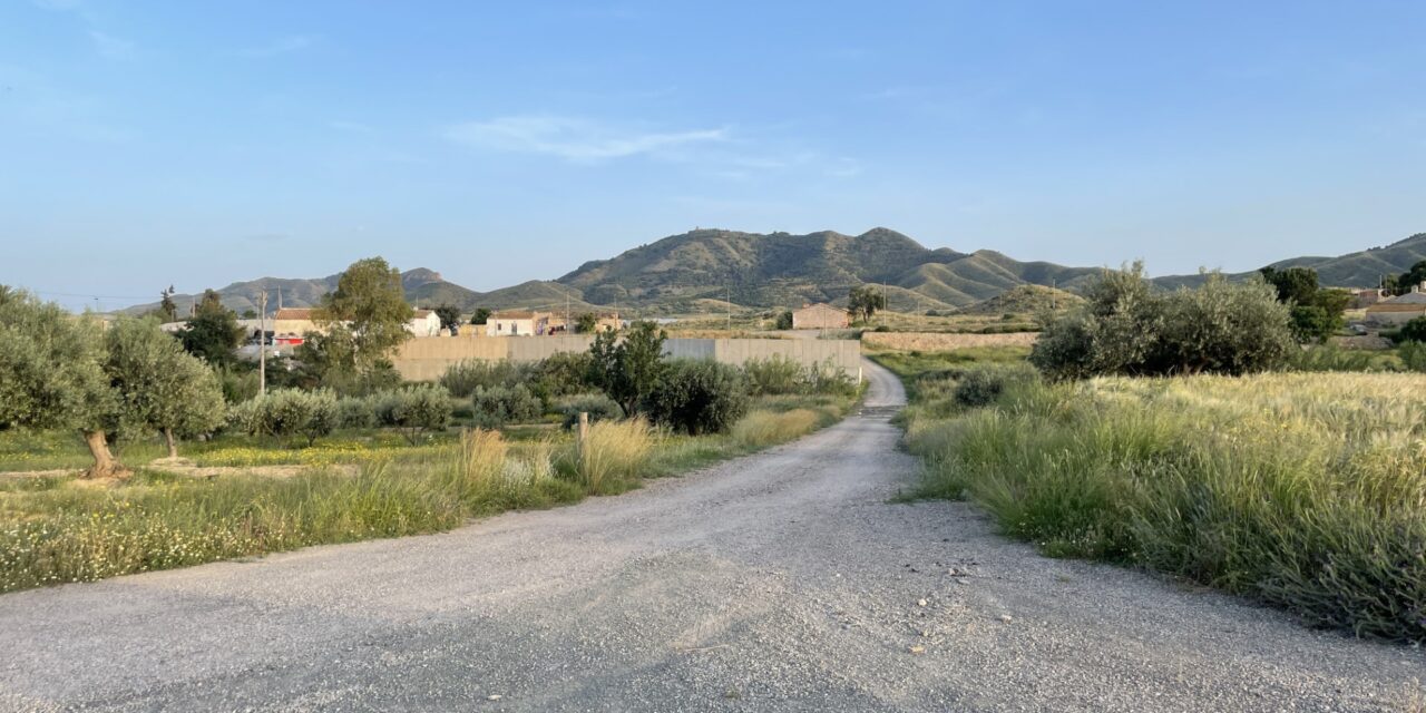 Contratadas las obras para rehabilitar el camino «Las Palmeras» de La Atalaya