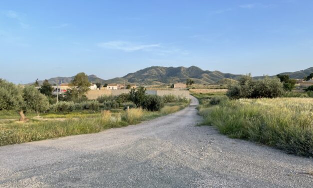 Contratadas las obras para rehabilitar el camino «Las Palmeras» de La Atalaya