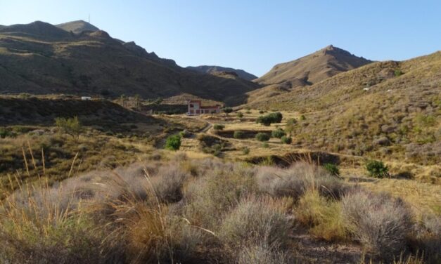 Jornada de voluntariado en el Proyecto Alzamora