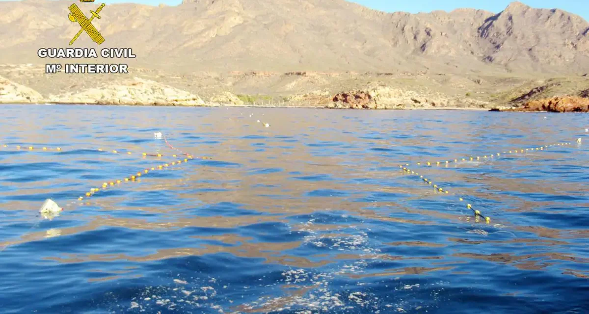 Detectan 21 irregularidades relacionadas con el uso indebido del arte de pesca en el golfo de Mazarrón