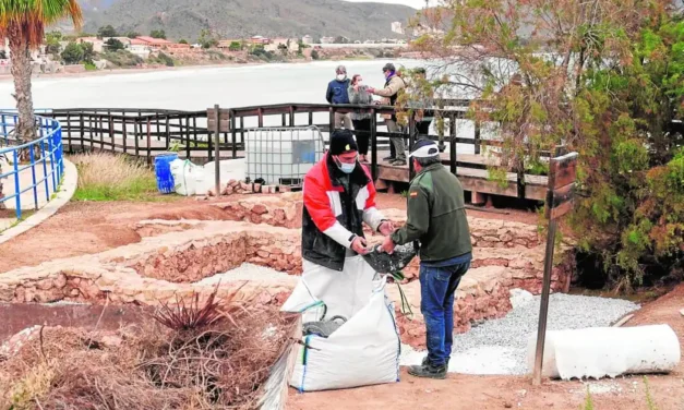 El yacimiento de Isla Plana busca su lugar