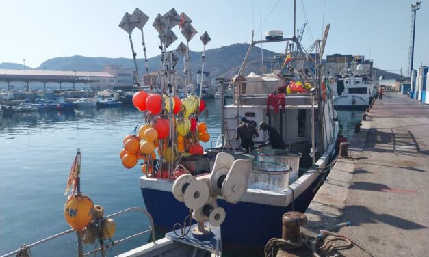 Las Cofradías de Pescadores de Águilas, Cartagena, Mazarrón y San Pedro del Pinatar recibirán este año ayuda directa del Gobierno regional para sufragar los gastos de personal. En total son 250.000 euros para las cuatro cofradías, tal y como ha autorizado el Consejo de Gobierno en su sesión de hoy, para contribuir al funcionamiento de las cofradías como corporaciones de derecho público y entes esenciales para el adecuado funcionamiento del sector pesquero y del mercado de primera venta de la pesca extractiva.  «Con esta cantidad se podrán sufragar los gastos de funcionamiento o explotación que correspondan al personal», ha indicado la consejera de Agua, Agricultura, Ganadería y Pesca, Sara Rubira. En dichos gastos estarán incluidas las retribuciones salariales, cotizaciones a la seguridad social e indemnizaciones por desplazamientos, manutención y alojamiento, no siendo subvencionable los gastos derivados de despidos improcedentes, o los asociados a atenciones protocolarias e indemnizaciones por asistencia a reuniones.  La situación económica de las Cofradías de Pescadores se está viendo gravemente afectada por diferentes circunstancias, entre las que destaca el elevado número de días de inactividad de la flota derivada de las reducciones de esfuerzo pesquero, que en 2024 llegarán al 40 por ciento, según informaron fuentes del Gobierno regional en un comunicado.  «La reducción de días de pesca no solo está afectando a los pescadores, también a las cofradías que sufragan sus gastos con la venta de las capturas que se hace en las lonjas. Con esta ayuda contribuimos al mantenimiento de estos puestos de trabajo», ha añadido Rubira.  Esta limitación sumada a las bajadas en los precios medios de mercado, aumento de los costes de funcionamiento ligados al servicio de primera venta, tales como energía eléctrica o envases, está dificultando la viabilidad de las cofradías. «Además, para incentivar el consumo de pescado hemos exigido al Ministerio de Agricultura que baje el IVA. Estamos viendo como las ventas caen cada mes y creemos que con esta medida se puede ayudar al sector», ha concluido la consejera.