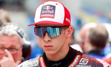 Borrador automático