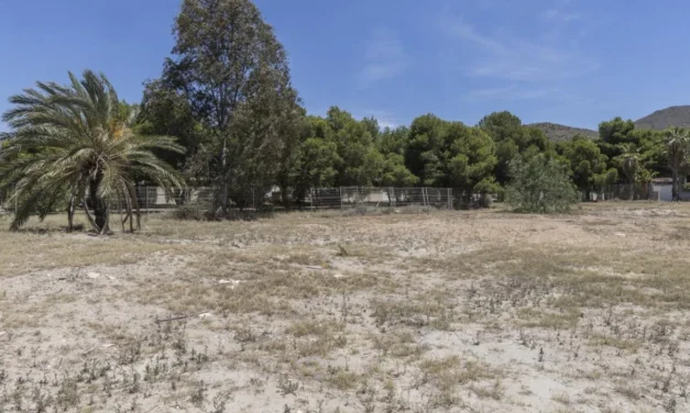 Urbanismo reactiva la construcción de unas 135 viviendas en la playa de San Ginés, en La Azohía
