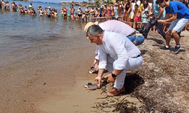 Medio Ambiente devuelve al mar otros 20 ejemplares de tortuga boba