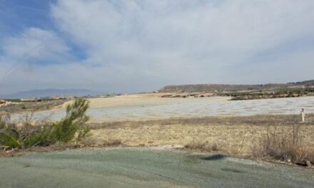 Denuncian 47 hectáreas de regadío ilegal que afectan a especies protegidas en Mazarrón