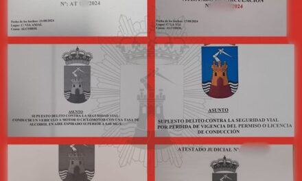 Desde el pasado viernes se han instruido hasta atestados por presuntos delitos contra la Seguridad Vial.