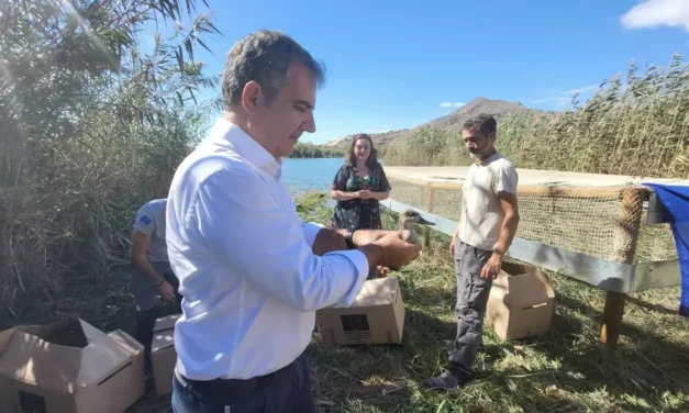 Medio ambiente  Al rescate del pato más amenazado de Europa