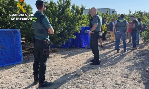 La Guardia Civil inspecciona varias explotaciones agrícolas de Mazarrón, Cieza, Torrepacheco y San Javier