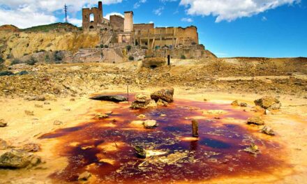 No detectan entre los vecinos tasas preocupantes de metales por los terrenos de Zinsa en Cartagena