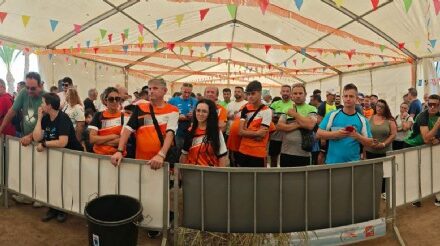 Borrador automático