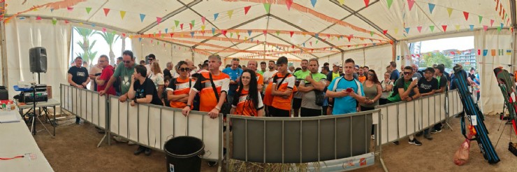 Borrador automático