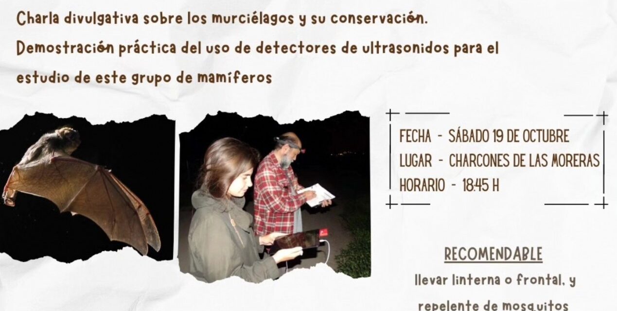 ‘Noche de Murciélagos’ en los Charcones de Las Moreras