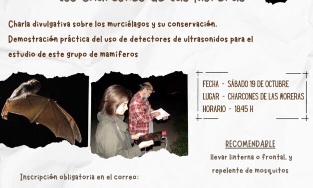 ‘Noche de Murciélagos’ en los Charcones de Las Moreras