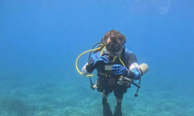 Gobierno y UMU se alían para proteger la centenaria pradera de posidonia de la Región
