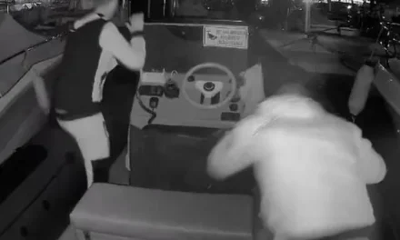 Intentan robar una lancha neumática en Mazarrón Raul Hernandez La Verdad de Murcia Desde el sector náutico denuncian un aumento de sustracciones de embarcaciones destinadas al tráfico de drogas o utilizadas por las mafias de la inmigración ilegal La Guardia Civil busca a dos hombres que el jueves por la noche intentaron robar una lancha neumática que estaba atracada en el muelle del puerto deportivo en Mazarrón. Los ladrones fueron captados pasadas las diez y media de la noche por una cámara de seguridad y ahuyentados por una alarma cuando intentaban llevarse la embarcación. «Estaban muy organizados. En treinta segundos uno de ellos quitó un mosquetón que tenemos en la argolla de la proa y rompió la patronera para dejarla descubierta, mientras que el otro fue directo al motor. Toda esta operación en medio minuto», señalaron las fuentes Según denuncian desde la Estación Náutica Mar Menor, se trata de un caso más de la decena de robos que llevan denunciando desde hace meses en puertos de La Azohía, San Pedro del Pinatar, Cabo de palos y Mazarrón. «Es un sin vivir. Siempre se escucha lo de las lanchas de los narcos y nadie sabe de dónde salen esas lanchas. Son lastre para toda la gente que, trabajando muy duro, se parte la espalda cada día para tener sus barcos para el trabajo», explican los denunciantes. Suscríbete y disfruta una experiencia sin límites. Entérate de las noticias que importan, mantente al día con los últimos acontecimientos y profundiza en el análisis de la actualidad. Disfruta de acceso sin límites a nuestras secciones desde cualquier dispositivo.   El pasado mes de agosto, varios centros de buceo de la diputación cartagenera de Cabo de Palos y San Pedro denunciaron una oleada de robos de zódiacs y reclamaron más seguridad en las zonas portuarias. Uno de estos centros llegó a sufrir dos robos y un intento de robo en un mismo mes. Este tipo de naves, las llamadas ‘gomas’, suelen utilizarlas los traficantes de droga como narcolancha para el envío de hachís desde Marruecos a las costas del sur y el levante de España; también las emplean las mafias de la inmigración ilegal como surtidoras de combustible a las pateras que trasladan apersonas de forma irregular desde el norte de África, según aclararon fuentes cercanas al caso.