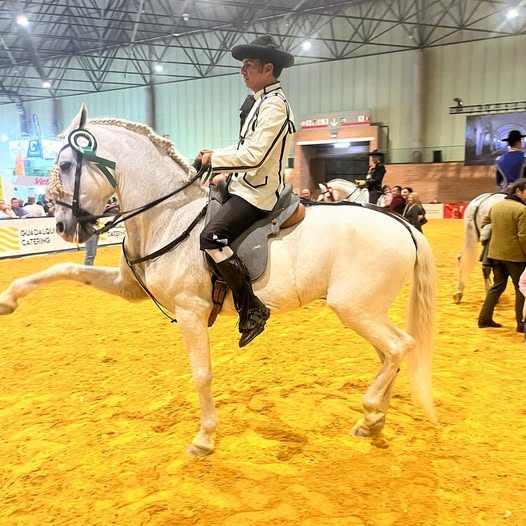Francisco Manuel Cubero, campeón en la primera calificación de la Copa ANCCE PRODETUR en SICAB 2024, con Feudal XX