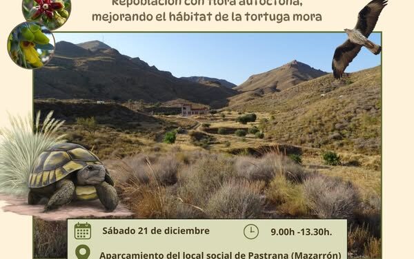 Este diciembre el Ayuntamiento de Mazarrón y ANSE te invitan a disfrutar de dos jornadas únicas para amantes de la naturaleza. ¡No te las pierdas!