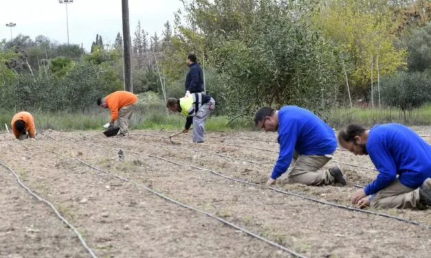 Preparados para recuperar la libertad tras la condena