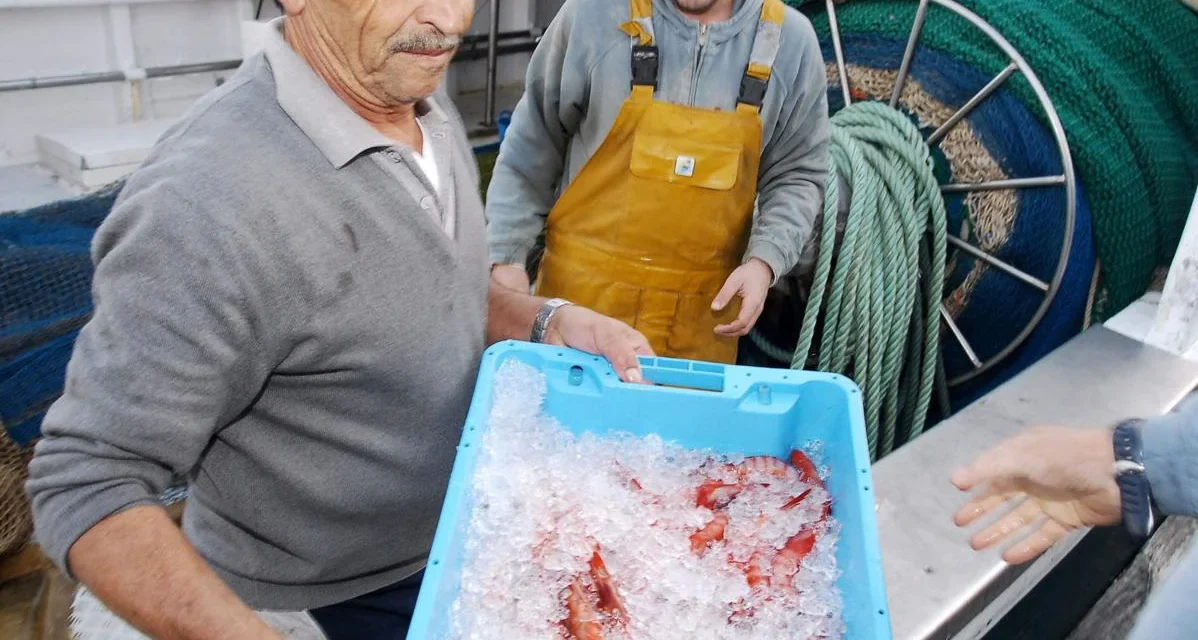 El cierre de caladeros de gamba roja irrita a los pescadores de la Región de Murcia