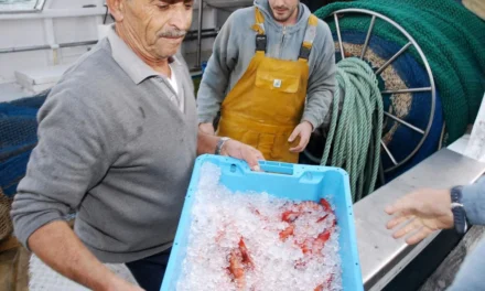 El cierre de caladeros de gamba roja irrita a los pescadores de la Región de Murcia