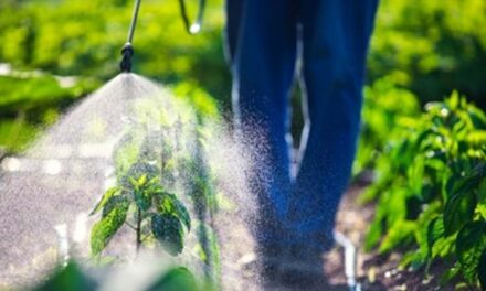 Corpfin compra Agrosana y entra en la industria de los fertilizantes