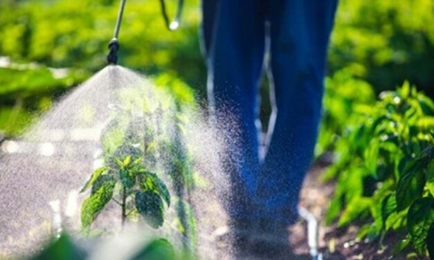 Corpfin compra Agrosana y entra en la industria de los fertilizantes