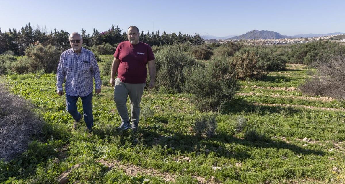 Piden investigar el uso de geotermia para producir electricidad en Mazarrón