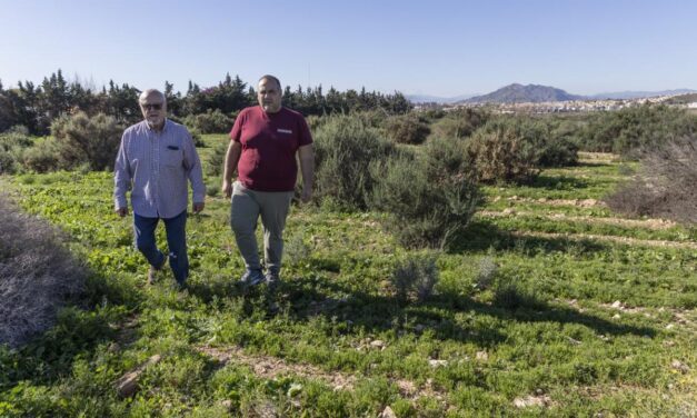 Piden investigar el uso de geotermia para producir electricidad en Mazarrón