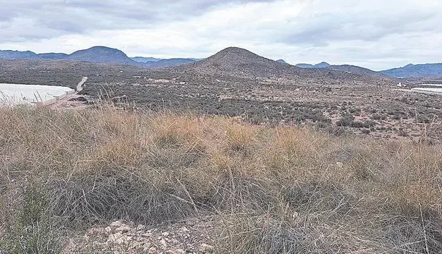 La Comunidad frena un proyecto agrícola en un paraje de Mazarrón
