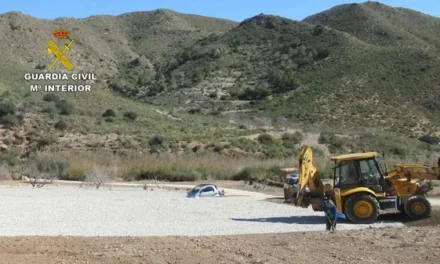 Borrador automático