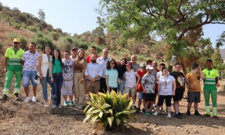 Más de 20 árboles plantados en el monte de Santa Catalina por jóvenes del Centro de Día y la iniciativa #Un Árbol por Europa