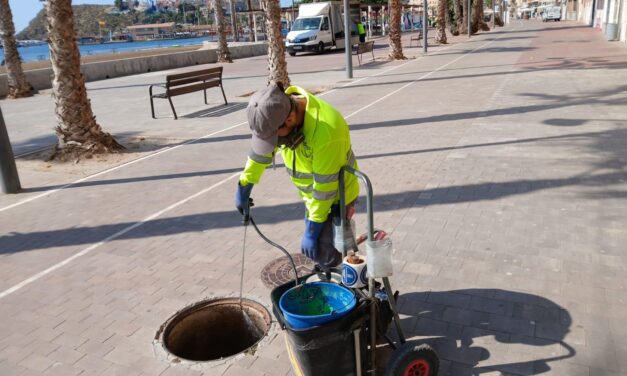 El Ayuntamiento de Mazarrón lleva a cabo más trabajos para controlar las plagas de roedores y cucarachas