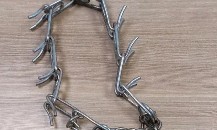 Una vecina de Puerto de Mazarrón golpea a dos policías y azuza a su perro para que les ataque